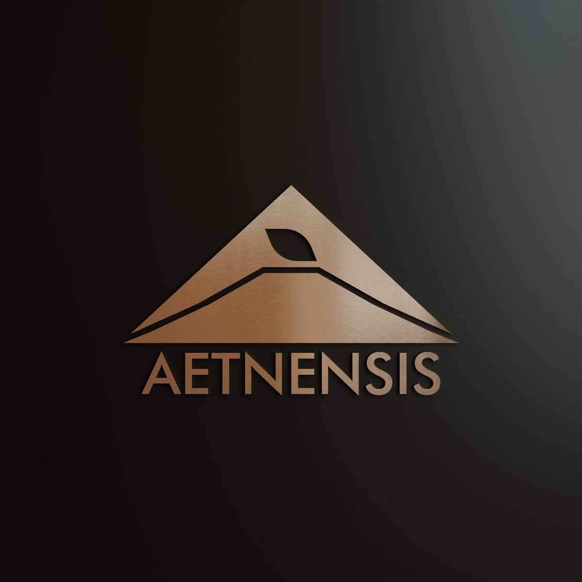 www.aetnensis.com